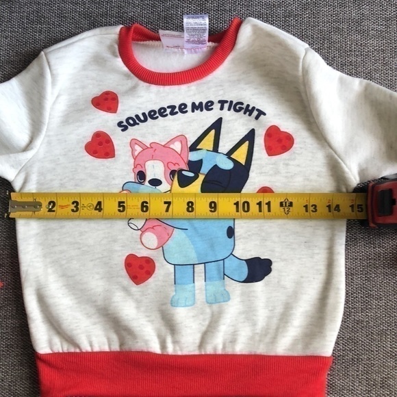 Bluey Long Sleeve Pullover Sweatshirt Printed Toddler Boy Girl Valentine’s Day 4 - Picture 10 of 12